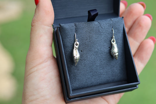 Shell earrings
