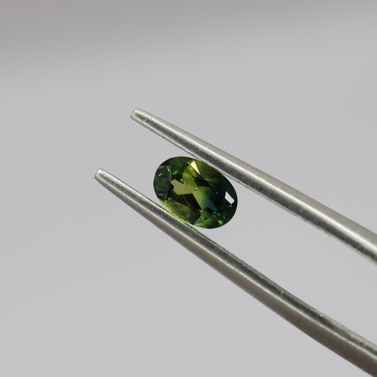 Parti Sapphire