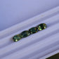 Australian Parti Sapphires