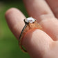 Thalassa Ring - READY TO SHIP 6.5